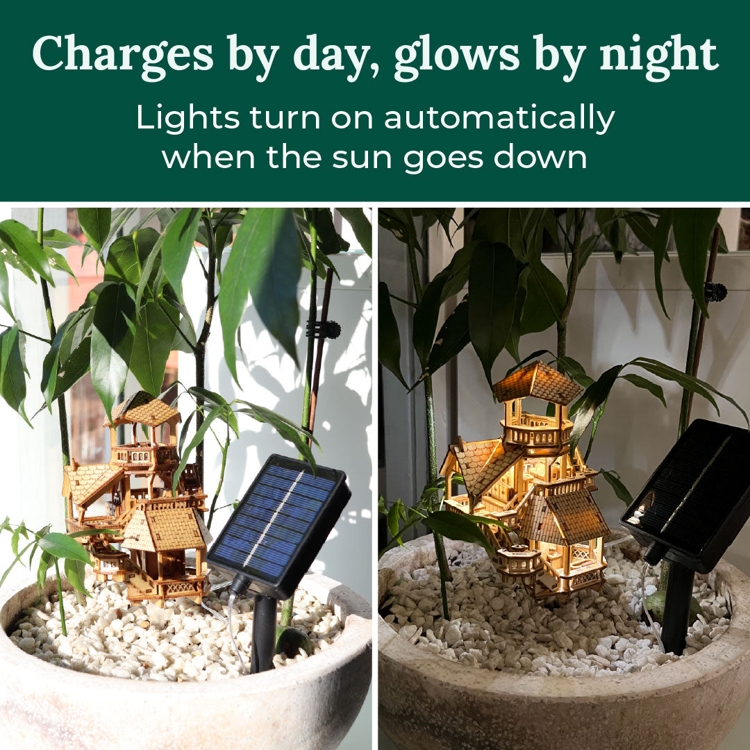 Solar Lights