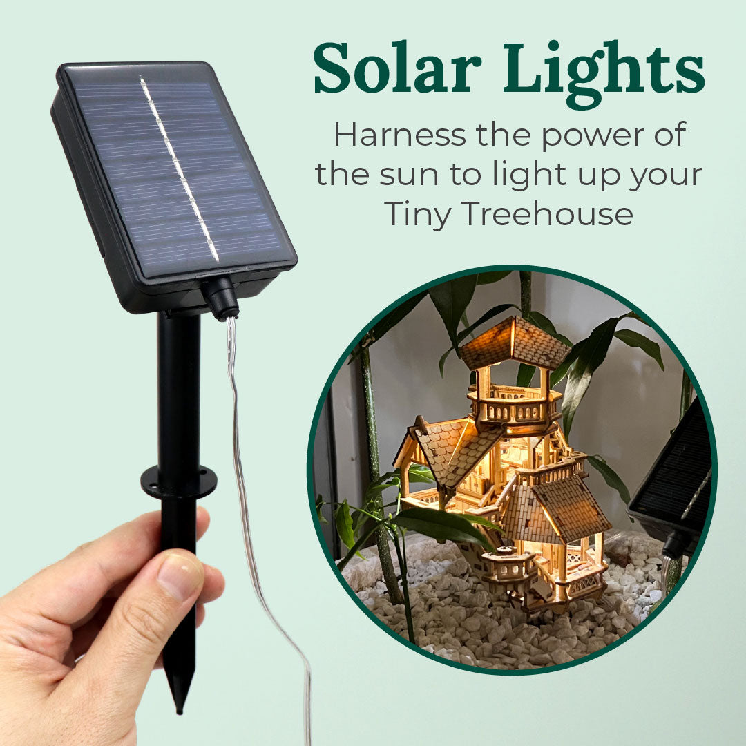 Solar Lights