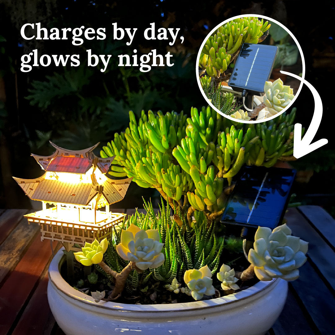 Solar Lights