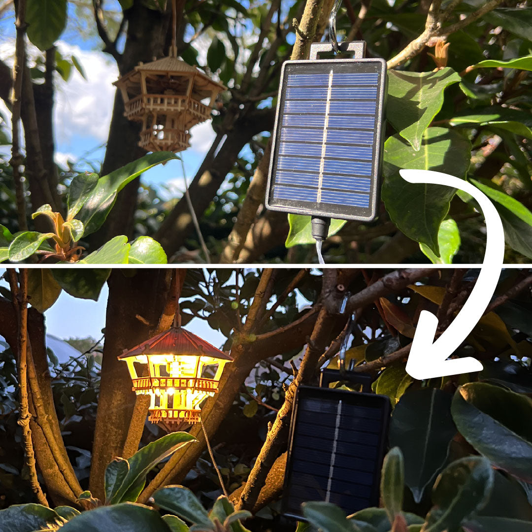 Solar Lights