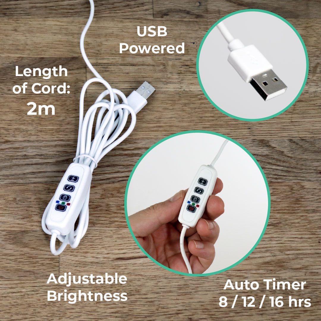 Sunrise Terrace + Grow Light
