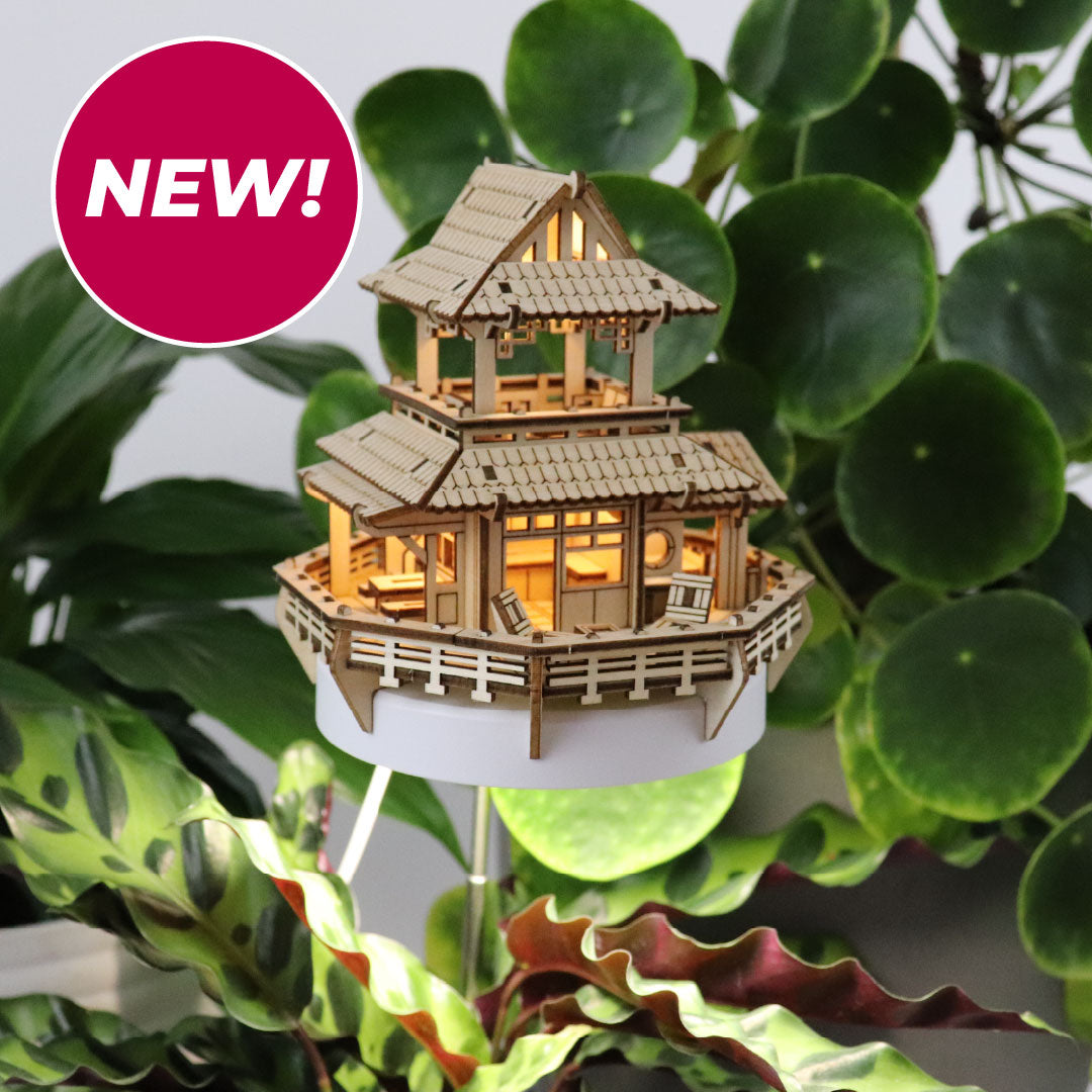 Sunrise Terrace + Grow Light