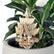 Puzzel Moeilijkheidsgraad 5/6 Tiny Treehouses Bouwset Tiny Treehouses Amazon Kit Modélisme Tiny Treehouses Temple Of Joy Tree House Tiny Home For Sale Miniatuur Boomhuis Temple Of Joy